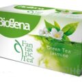 Biogena Fantastic Tea Green Tea Jasmine