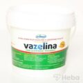 VITAR Vazelína extra jemná biela