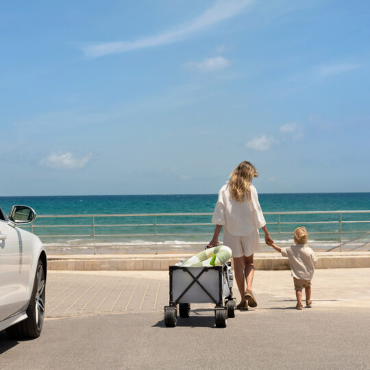 KINDERKRAFT Vozík prepravný skladací Wagon Rollster Blue