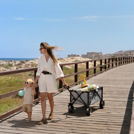 KINDERKRAFT Vozík prepravný skladací Wagon Rollster Grey