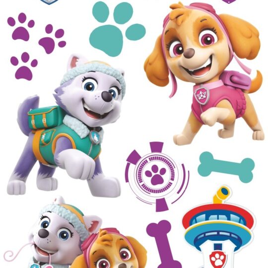 Nickelodeon Nástenná dekorácia Paw Patrol, Skye - Everest