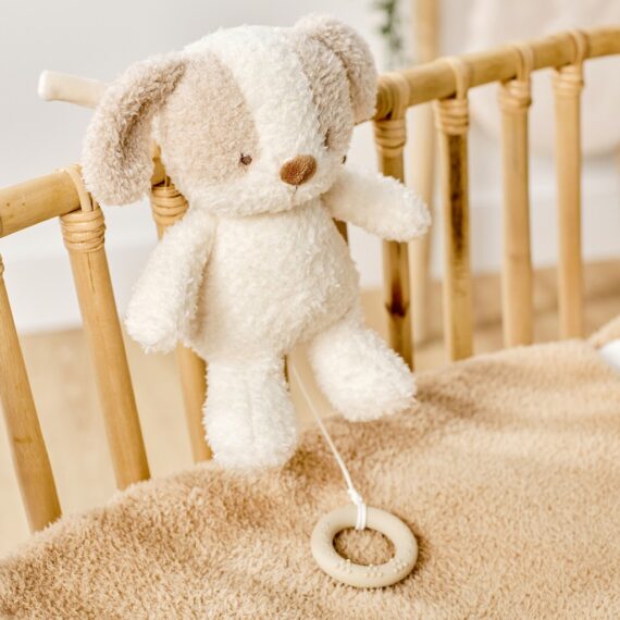 NATTOU Hračka plyšová hudobná Teddy psík 24 cm, 0m+