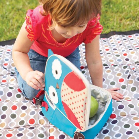 SKIP HOP Zoo taštička desiatová Sovička 3r+