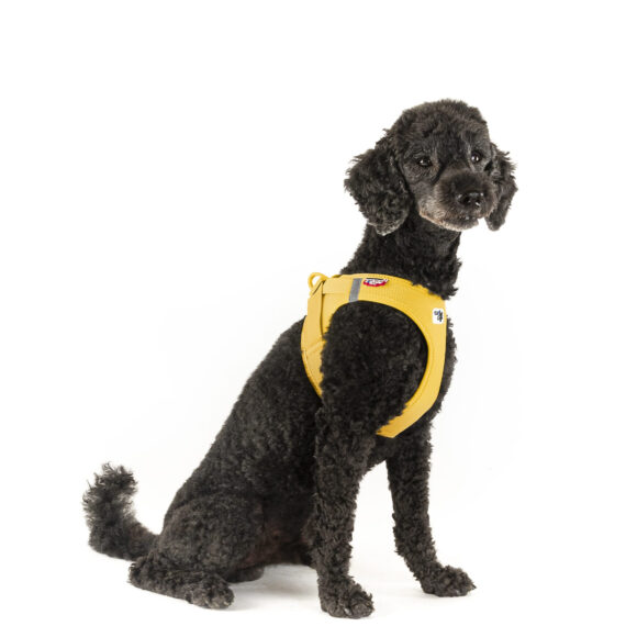 CURLI Postroj pre psov so sponou Air-Mesh Mango S, 4-7 kg