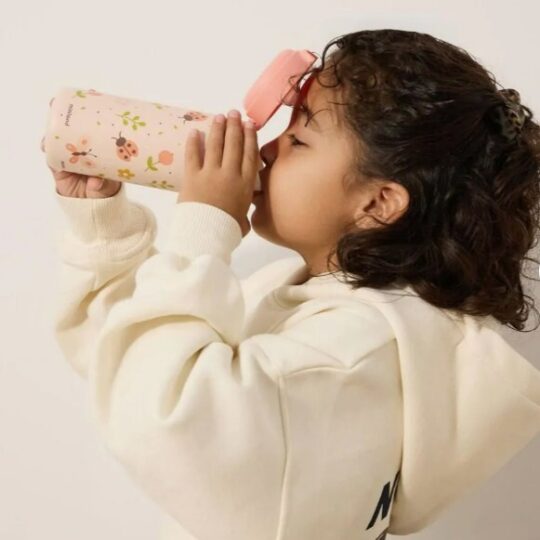 Miniland Nerezová detská fľaša Junior Explorer, 320ml, Motýle