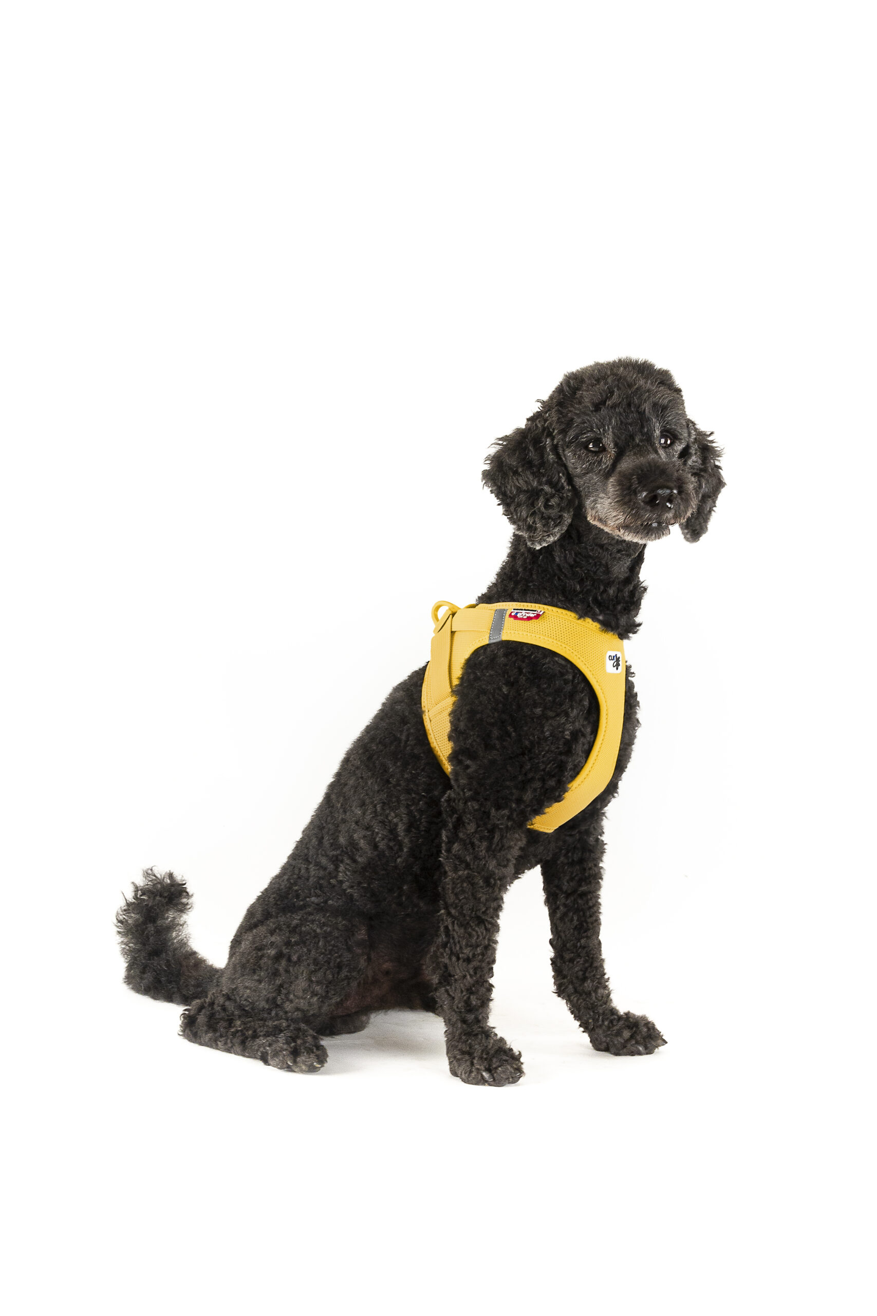 CURLI Postroj pre psov so sponou Air-Mesh Mango 2XS, 2-4 kg